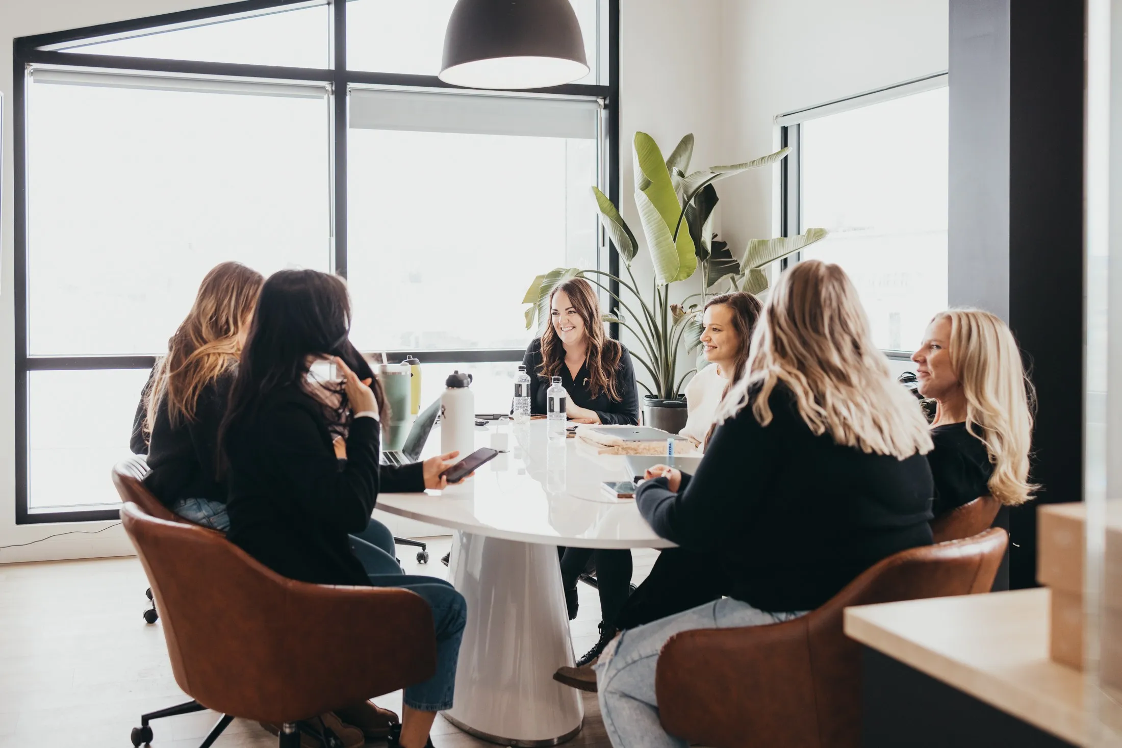 A meeting around the boardroom table, the tall windows and a big plant behind