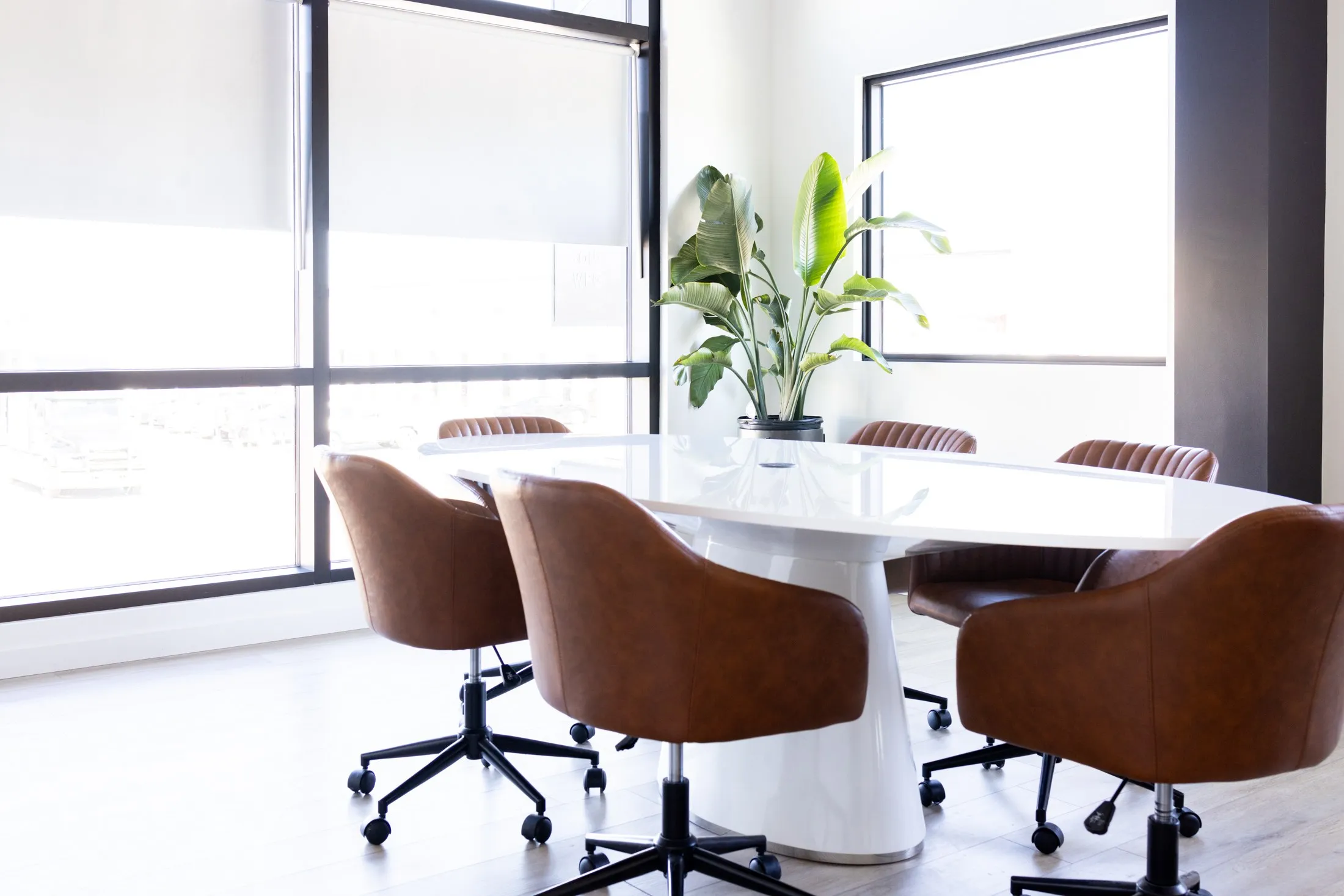 The boardroom table under the tall windows, a big plant in the corner